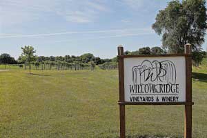 Willow Ridge Winery Vineyards Tour